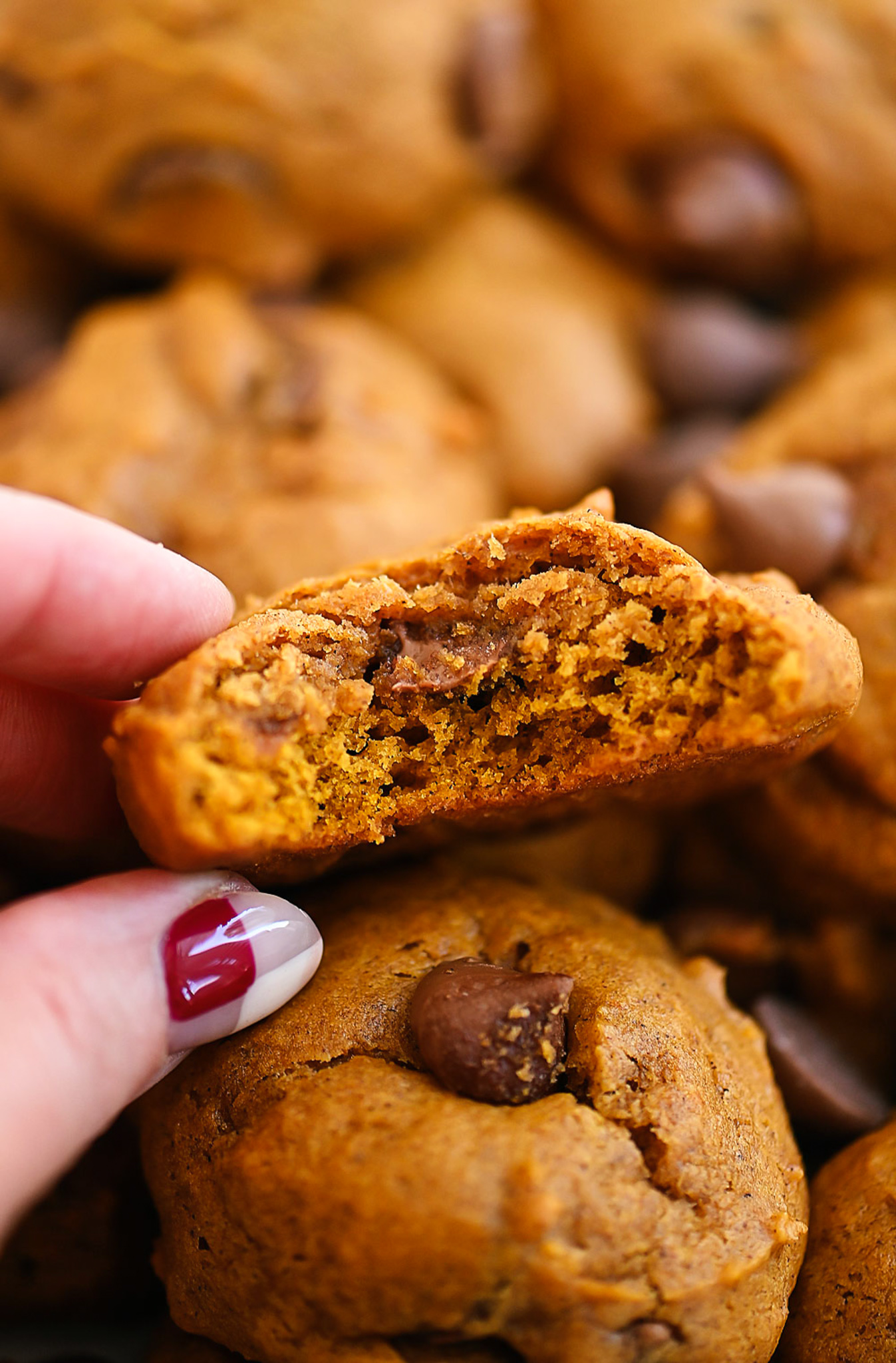 Chocolate Chip Cookies with Pumpkin 
