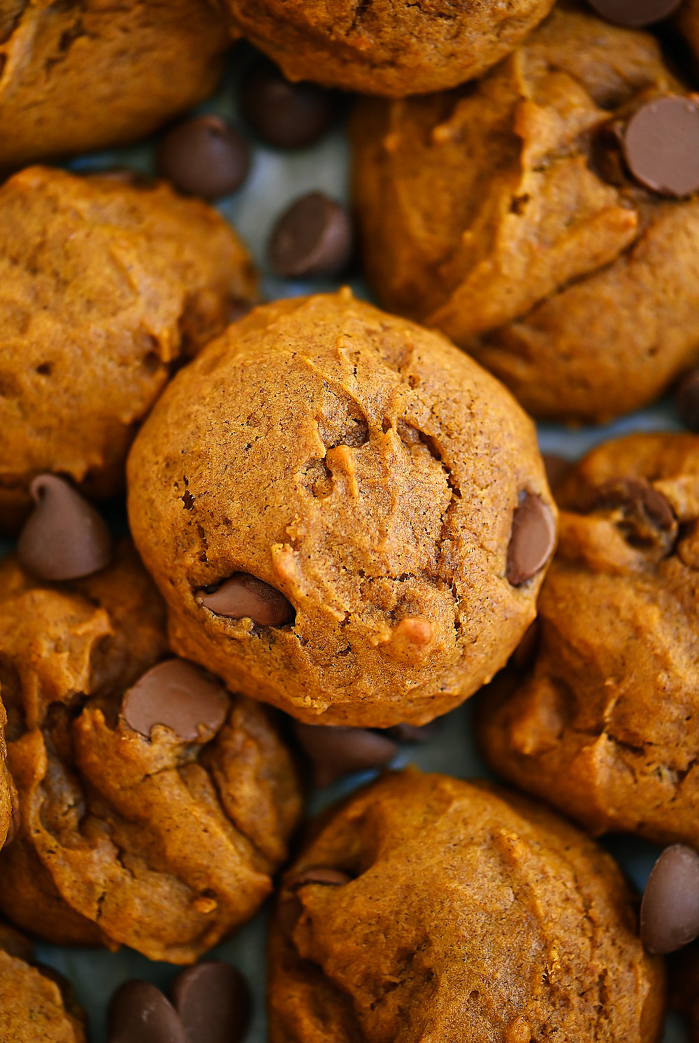 Chocolate Chip Cookies with Pumpkin