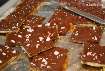 Delicious toffee squares made with Saltine crackers that are topped with chocolate and crushed candy canes. Life-in-the-Lofthouse.com