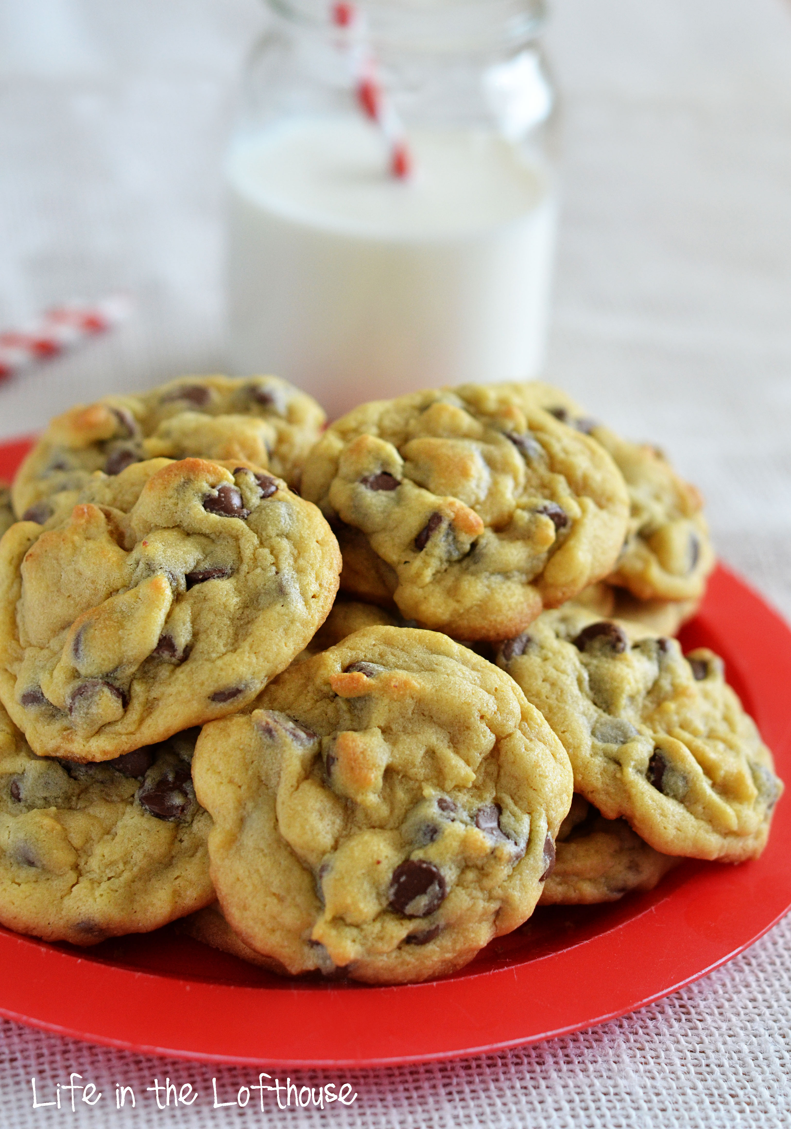 Chocolate Chip Pudding Cookies