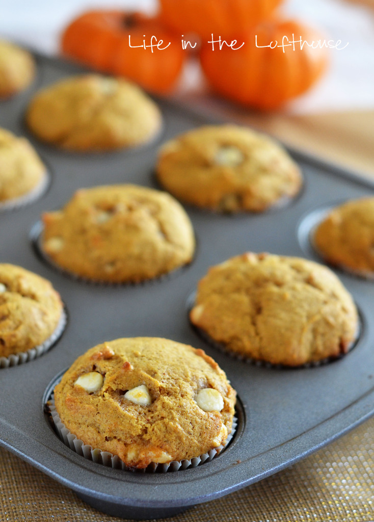 Delicious, moist muffins full of pumpkin and cinnamon flavor and white chocolate chips. Life-in-the-Lofthouse.com