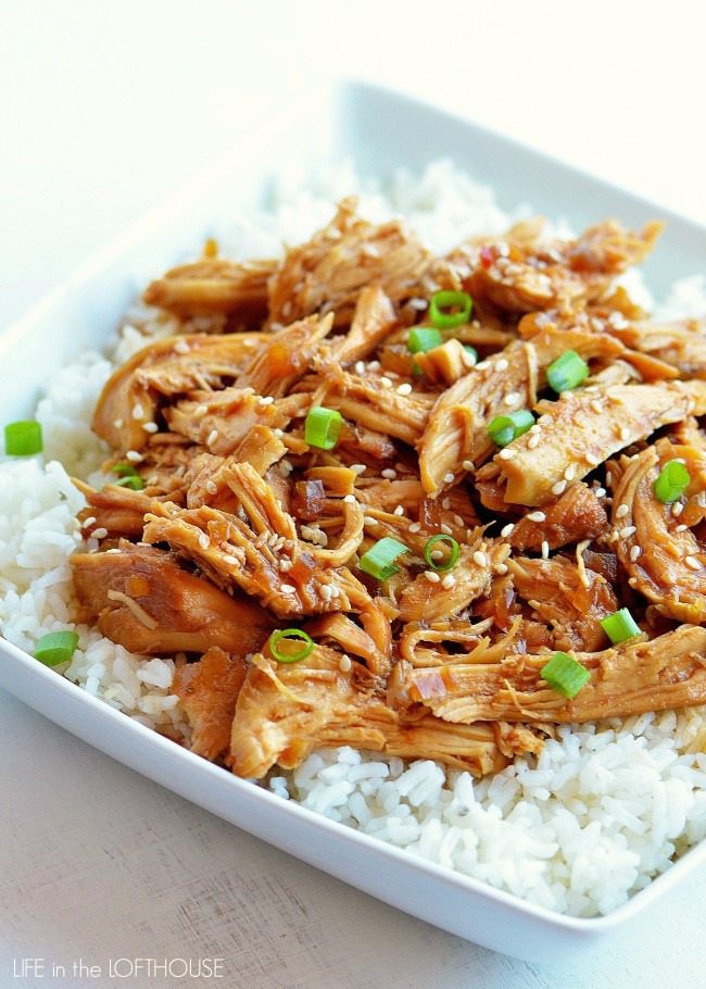 Honey Sesame Chicken is a delicious honey chicken recipe made in the slow cooker. Life-in-the-Lofthouse.com