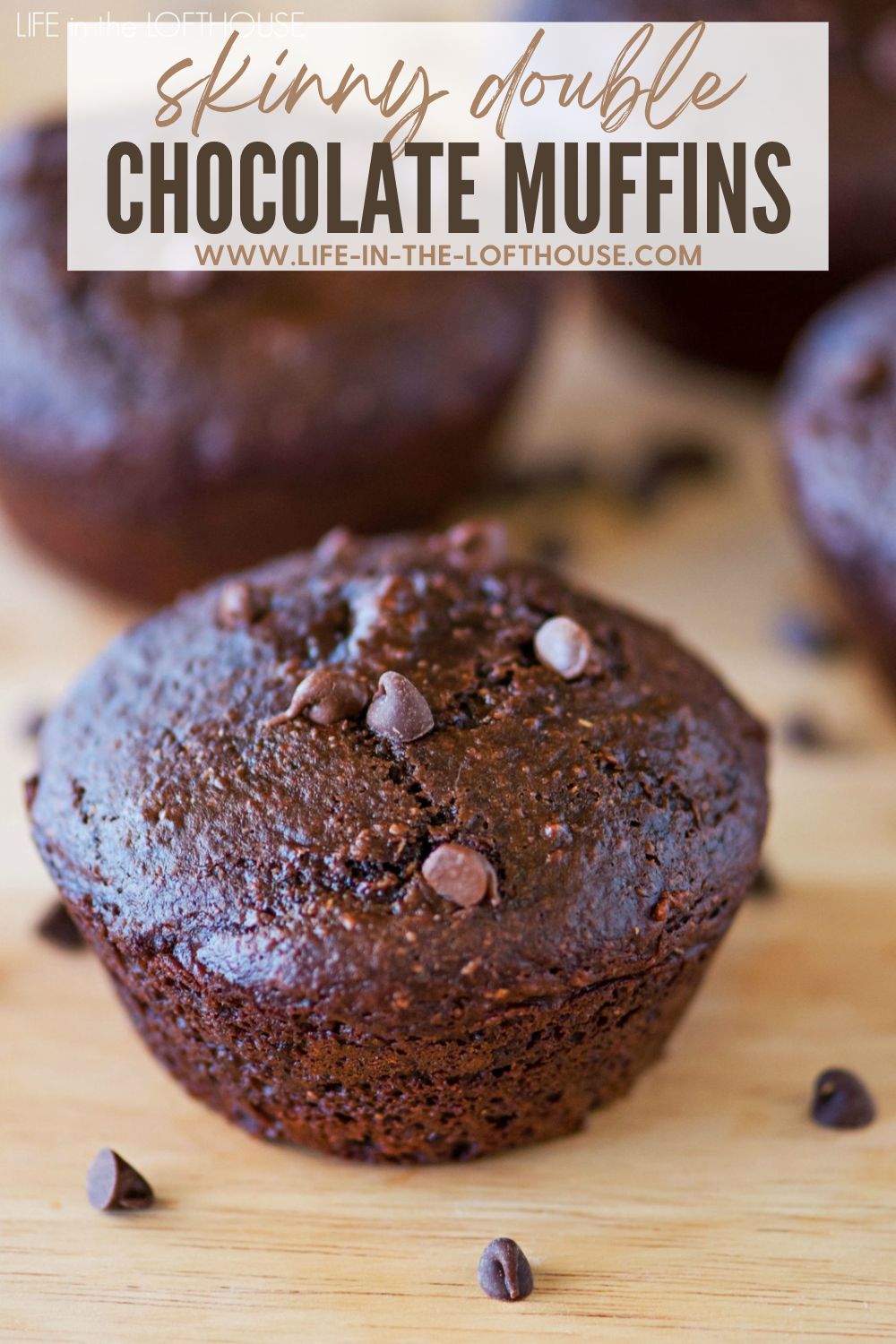 Low Fat Double Chocolate Muffins