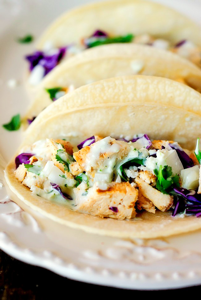 Chicken Street Tacos are filled with grilled chicken, onion, cabbage and fresh cilantro. Life-in-the-Lofthouse.com