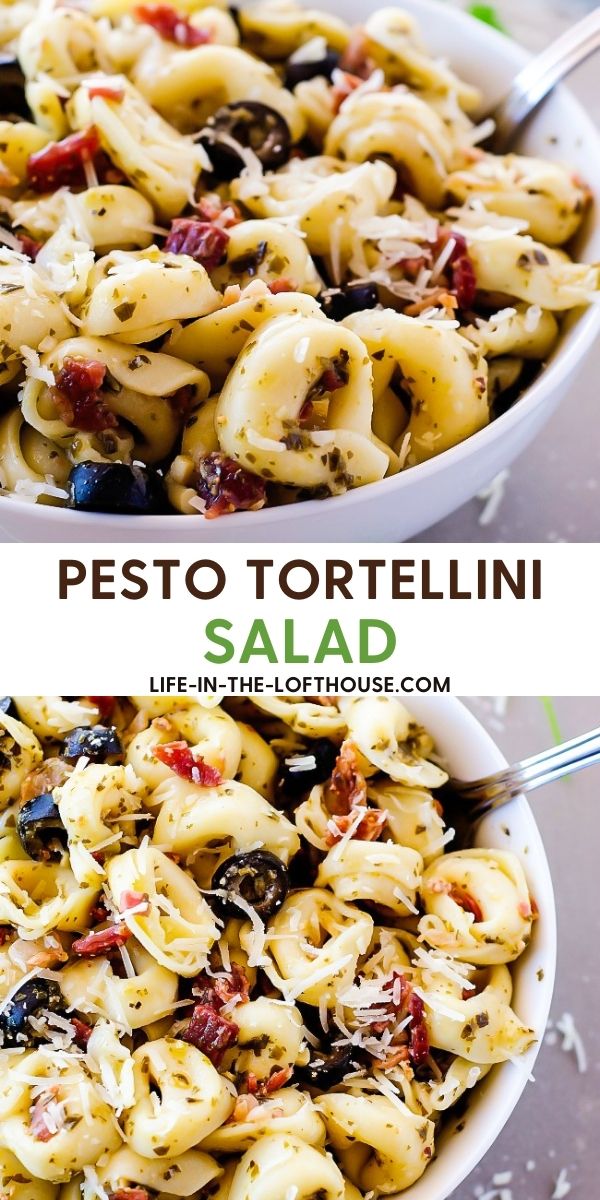 Pesto Tortellini Salad is cheese tortellini pasta coated in pesto, bacon and olives. Life-in-the-Lofthouse.com