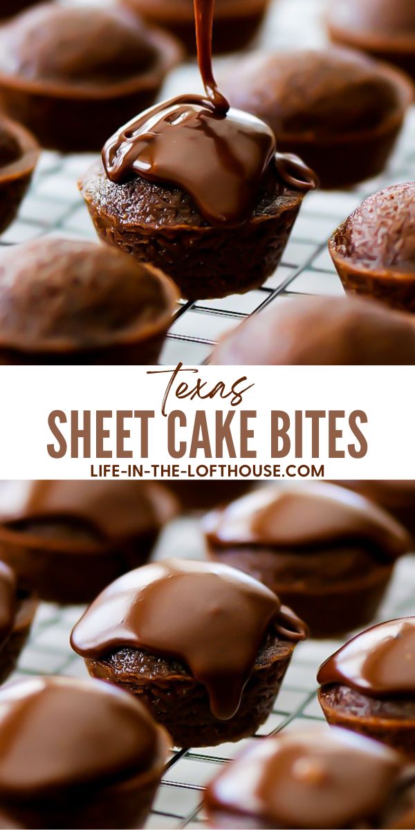 Chocolate Sheet Cake Bites