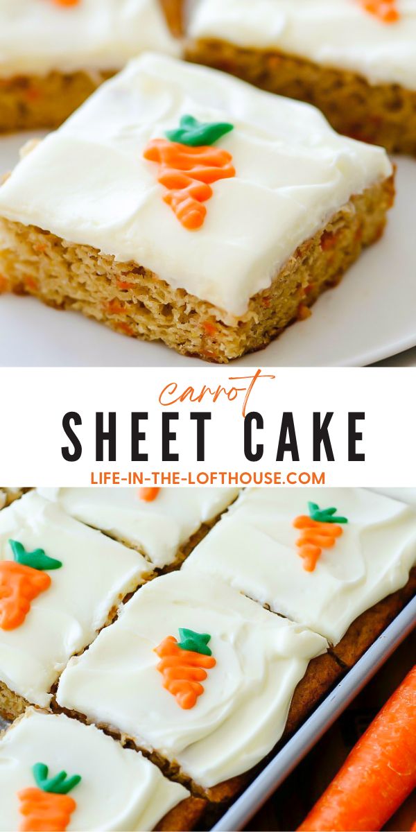 The best carrot sheet cake