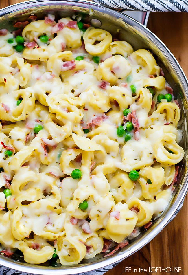 Ham, peas and a creamy sauce over cheese-filled tortellini. Life-in-the-Lofthouse.com