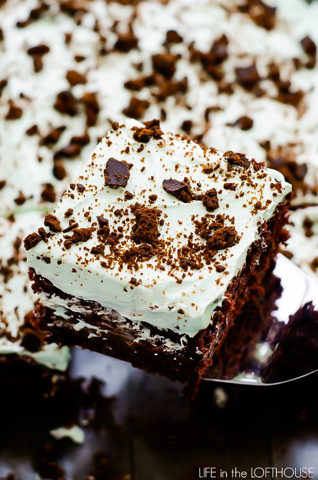 This incredible Thin Mint Chocolate Poke Cake is filled with chocolate pudding, crushed thin mint cookies and topped with a creamy peppermint whipped topping. Life-in-the-Lofthouse.com