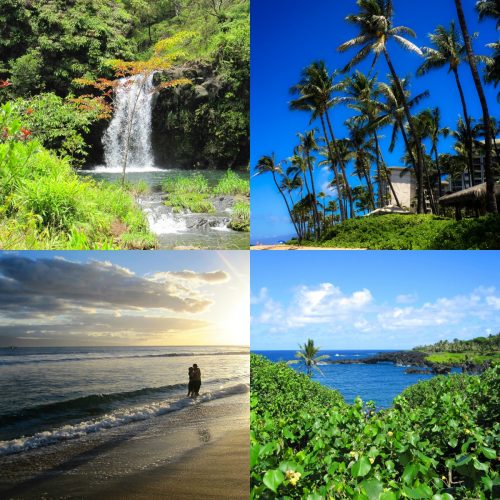 Adventures in Maui!