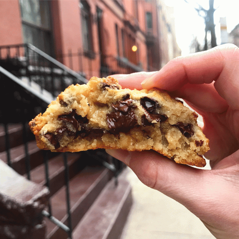 Adventures in New York City