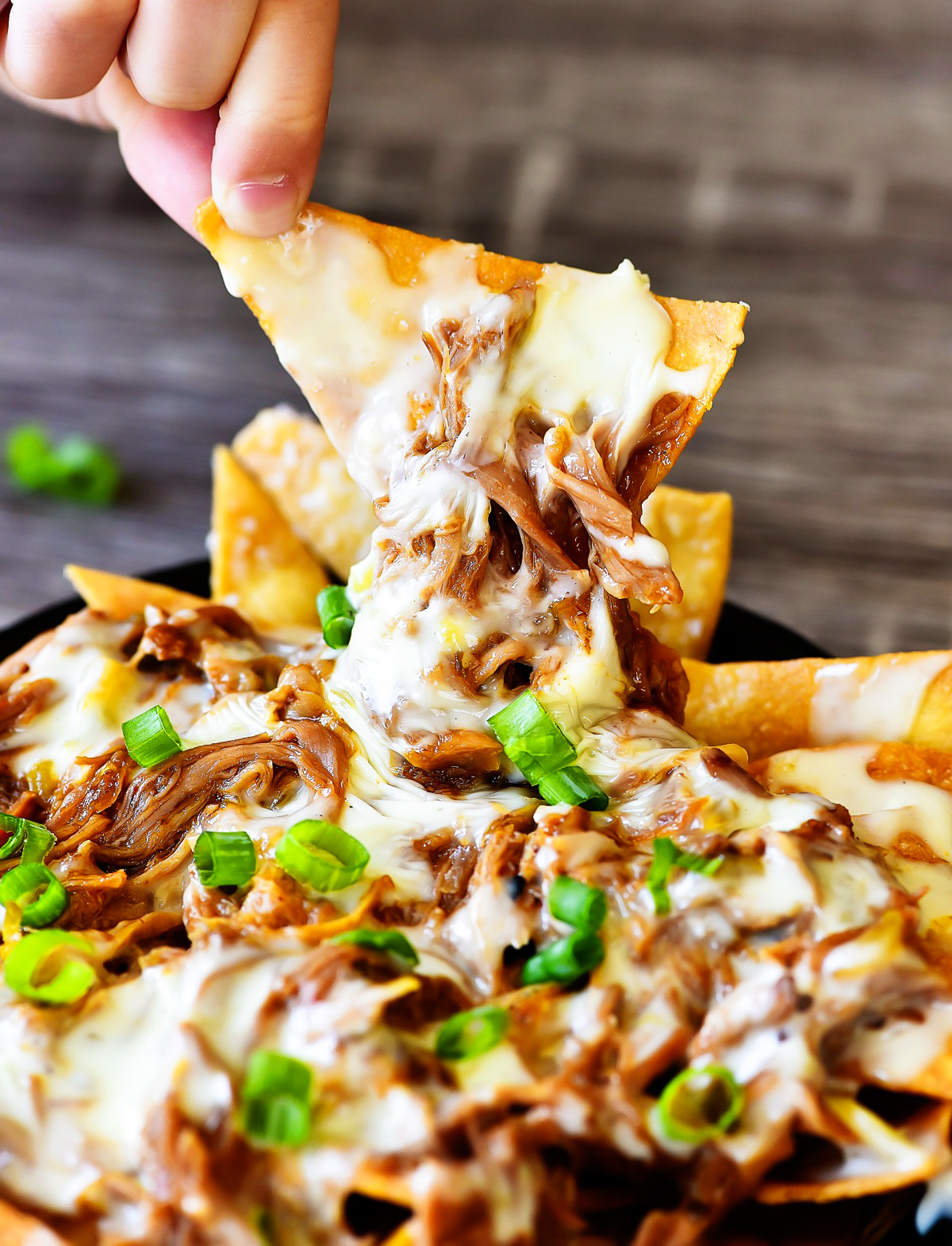 Shredded Sweet Pork over corn tortilla chips covered in Queso cheese. Life-in-the-Lofthouse.com