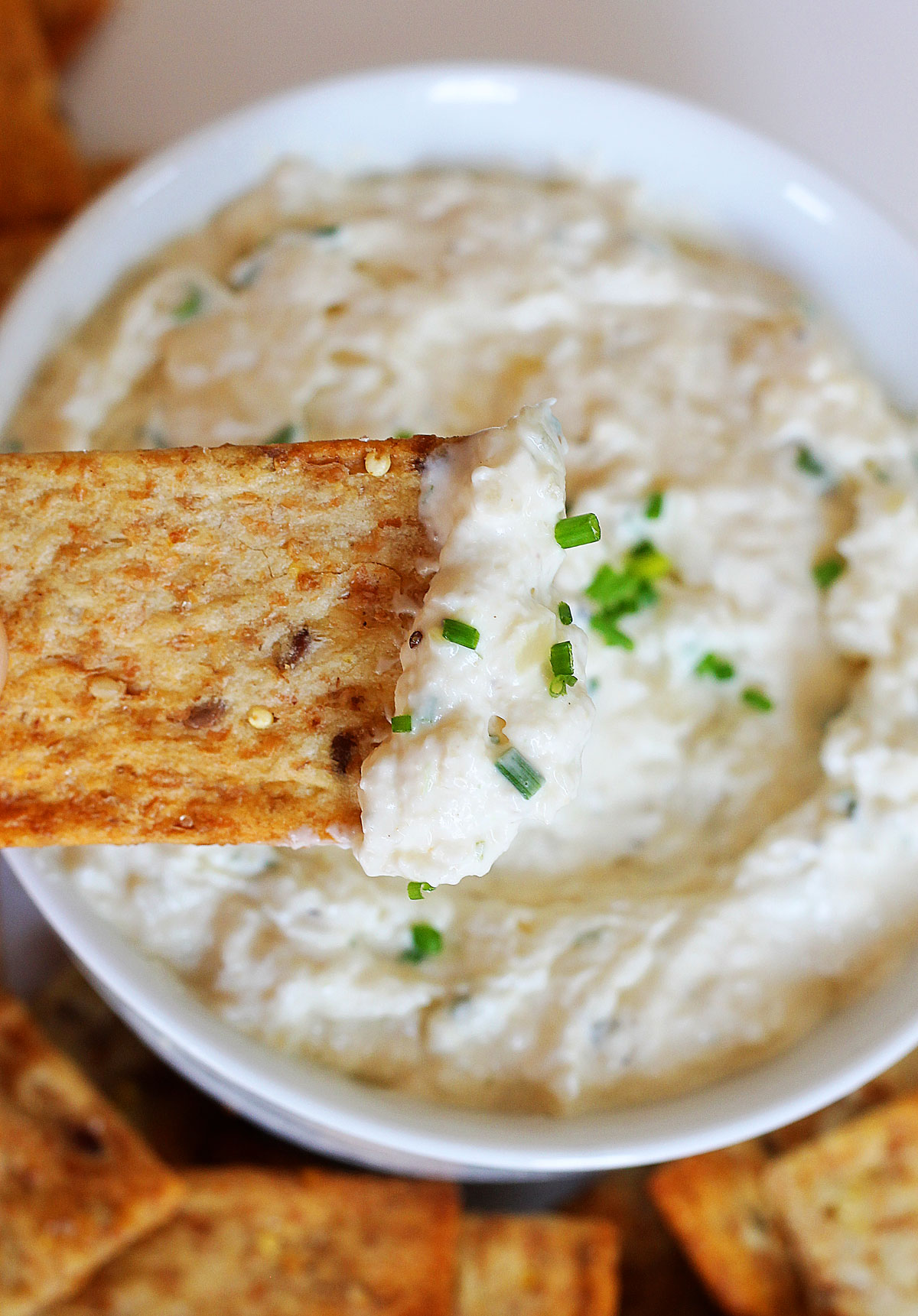 French Onion Dip is a creamy dip bursting with onion flavor. Life-in-the-Lofthouse.com