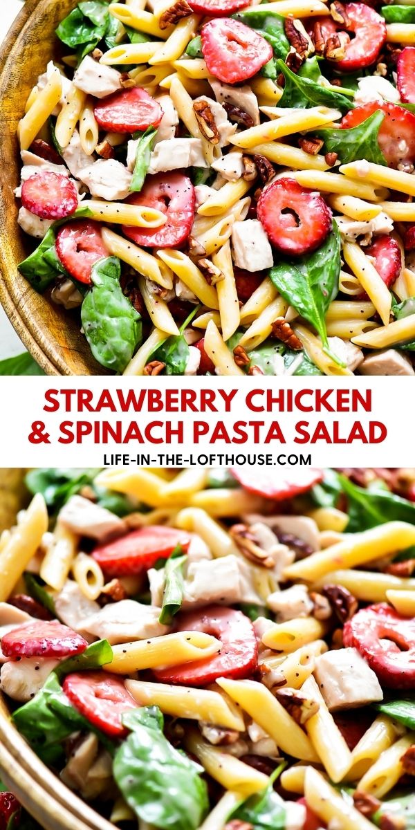 This salad is packed with flavor from grilled chicken, strawberries, spinach and poppy seed dressing. Life-in-the-Lofthouse.com