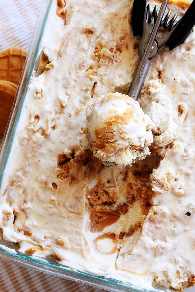 Peanut Butter Cookie Ice Cream is a no-churn, creamy Ice Cream that has layers of creamy peanut butter and cookie pieces. Life-in-the-Lofthouse.com