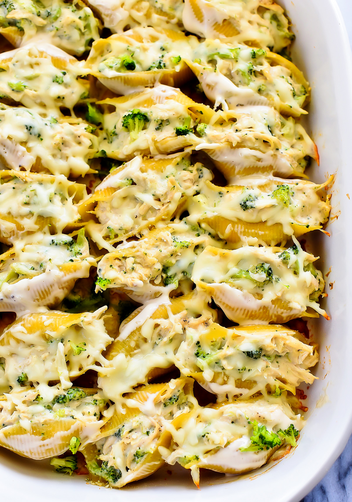 Chicken & Broccoli Alfredo Stuffed Shells is shredded chicken and broccoli combined with Alfredo sauce and stuffed inside jumbo pasta shells. Life-in-the-Lofthouse.com