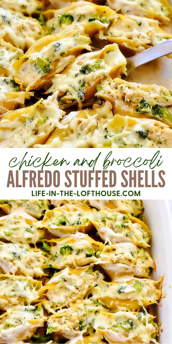 https://life-in-the-lofthouse.com/wp-content/uploads/2018/08/Chicken-Broccoli-Alfredo-Stuffed-Shells102-PIN.jpg