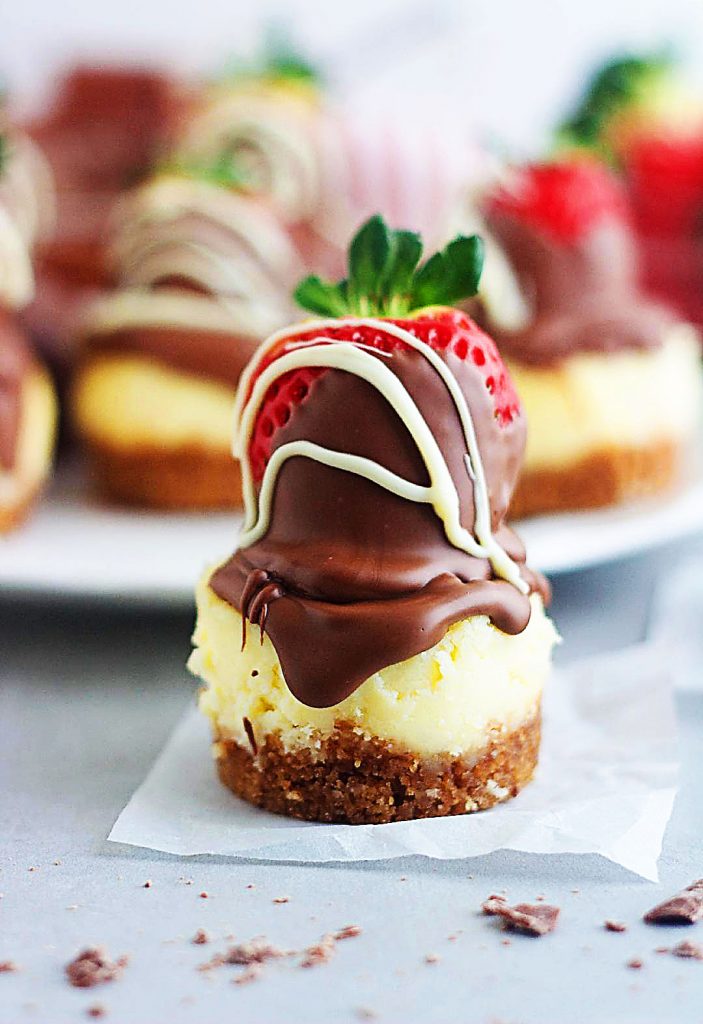 Chocolate Dipped Strawberry Mini Cheesecakes are delicious mini cheesecakes, topped with melted milk chocolate and a chocolate-dipped strawberry. Life-in-the-Lofthouse.com