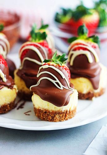 Chocolate Dipped Strawberry Mini Cheesecakes