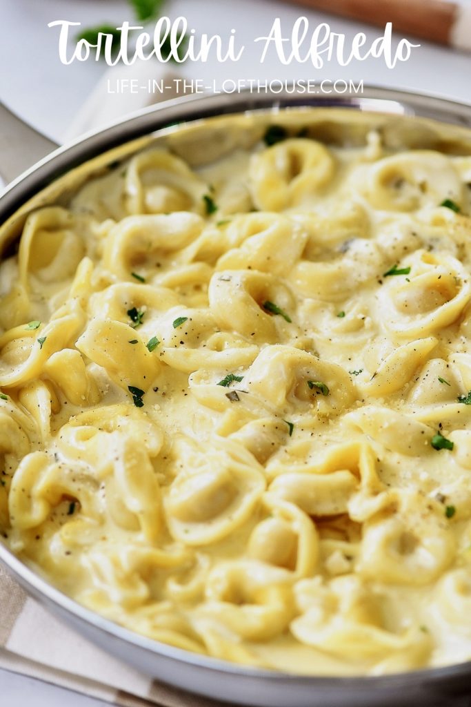 Tortellini Alfredo has a rich and creamy homemade Alfredo sauce poured over cheese-filled tortellini. Life-in-the-Lofthouse.com