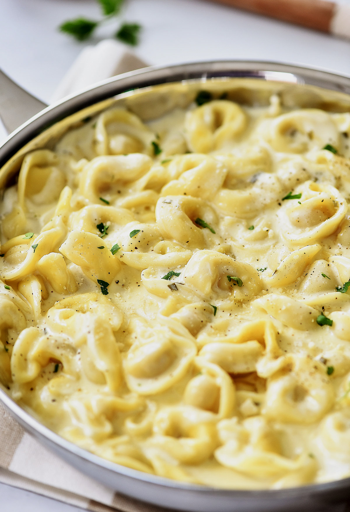 Tortellini Alfredo has a rich and creamy homemade Alfredo sauce poured over cheese-filled tortellini. Life-in-the-Lofthouse.com