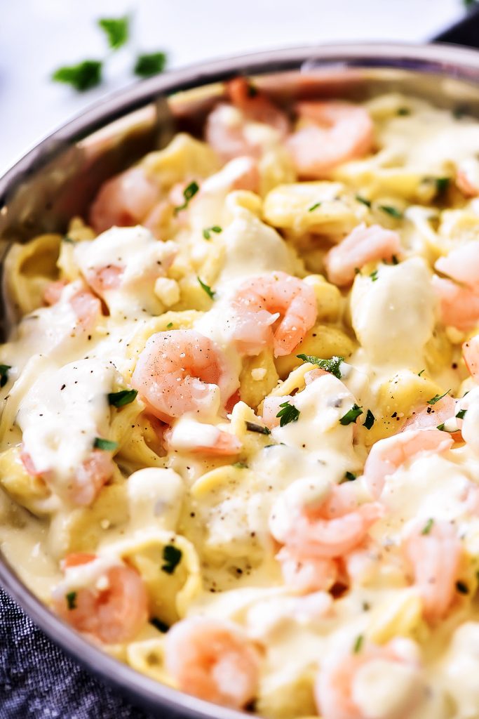 Shrimp Tortellini Alfredo has rich and creamy homemade Alfredo sauce poured over golden shrimp and cheese-filled tortellini. Life-in-the-Lofthouse.com