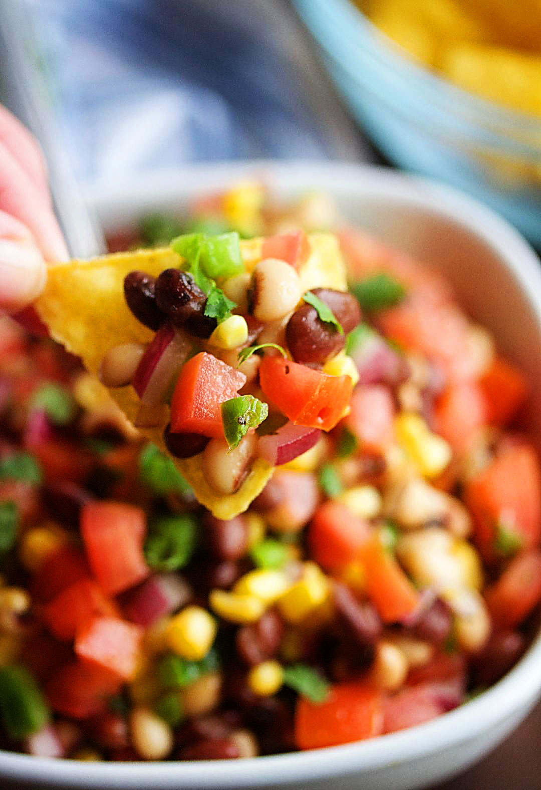 Texas Caviar is loaded with beans and diced fresh veggies tossed in a homemade vinaigrette. Life-in-the-Lofthouse.com