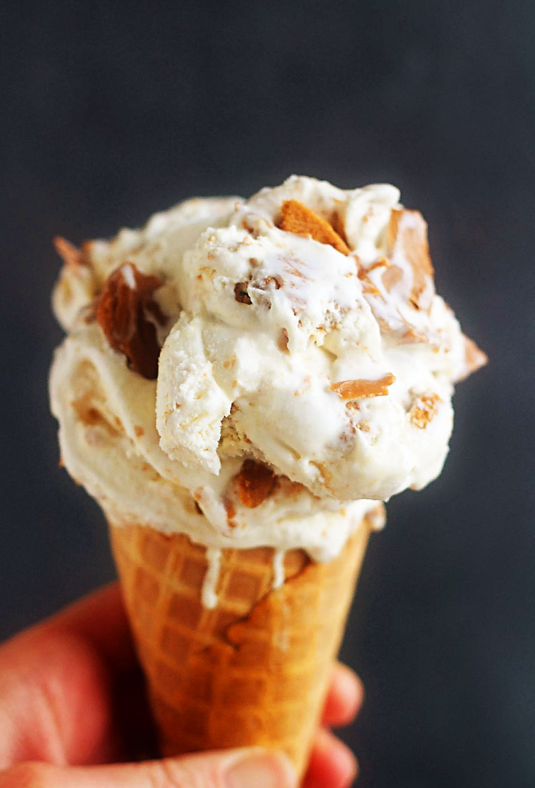 Easy Homemade Biscoff Ice Cream has a creamy vanilla ice cream base with Biscoff cookie pieces and swirls of cookie butter throughout. Life-in-the-Lofthouse.com