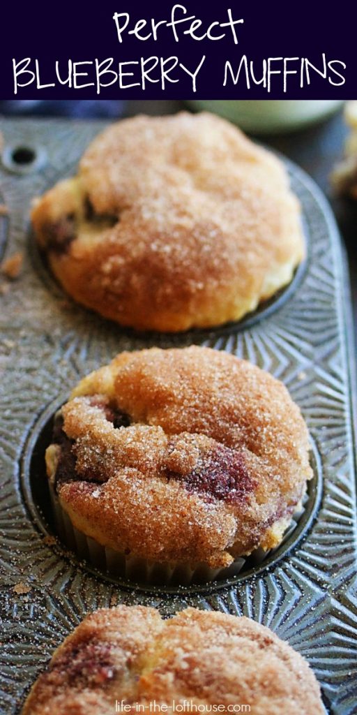 The Best Blueberry Muffins are tender, moist, and loaded with blueberries with a delicious cinnamon and sugar topping. Life-in-the-Lofthouse.com