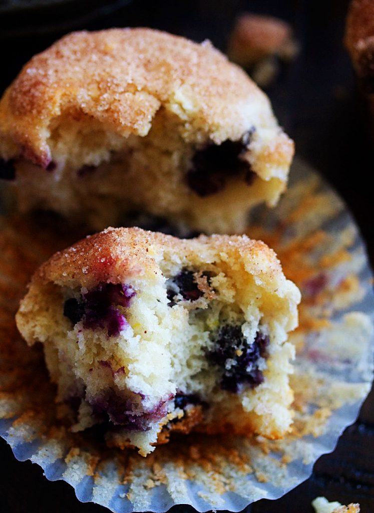The Best Blueberry Muffins are tender, moist, and loaded with blueberries with a delicious cinnamon and sugar topping. Life-in-the-Lofthouse.com
