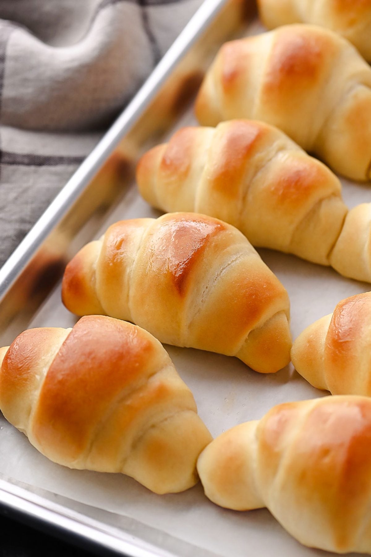 The most amazing dinner rolls