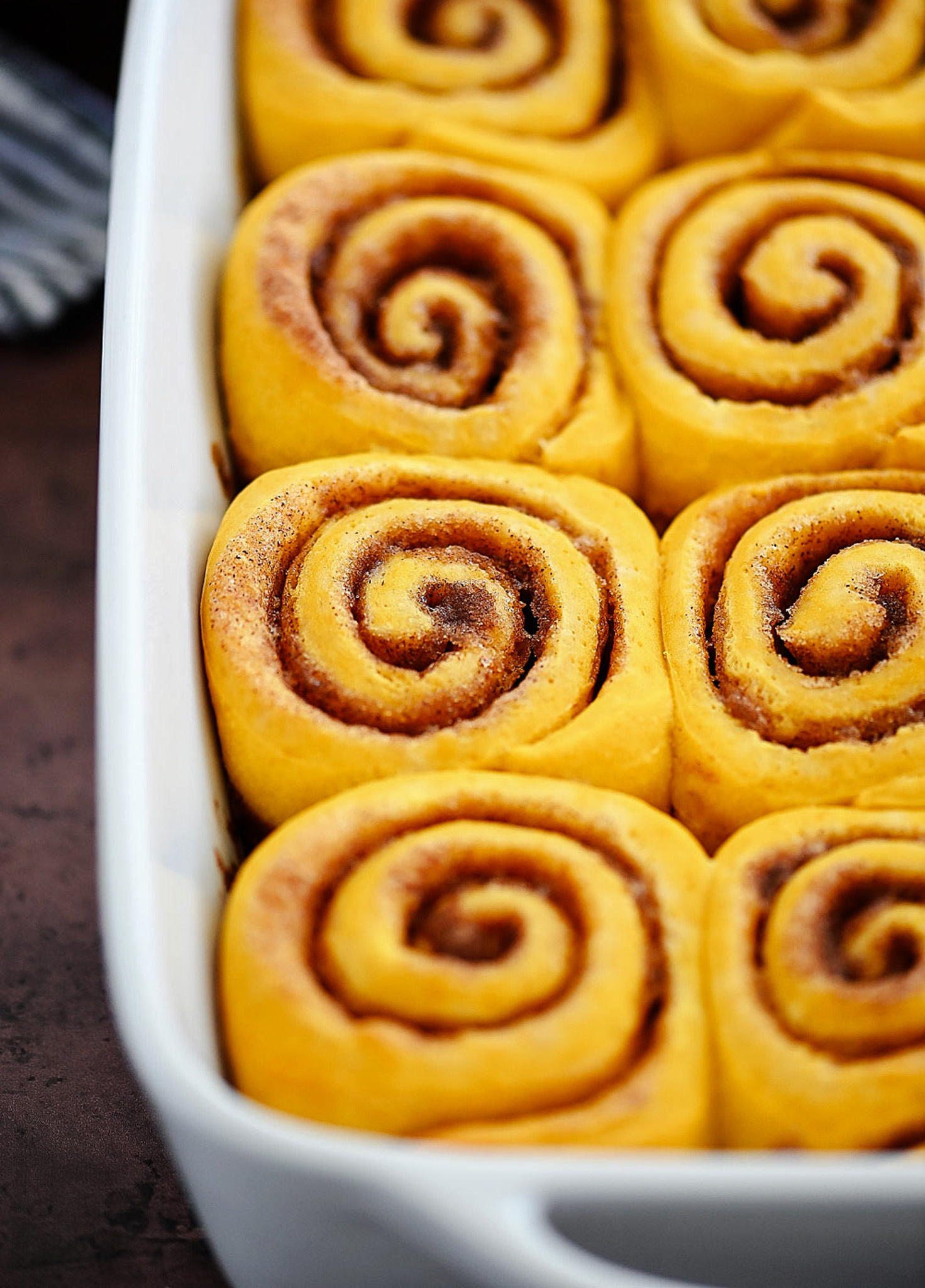 Pumpkin Cinnamon Rolls are soft, delicious cinnamon rolls full of pumpkin flavor and topped with a vanilla and pumpkin flavored icing. Life-in-the-Lofthouse.com