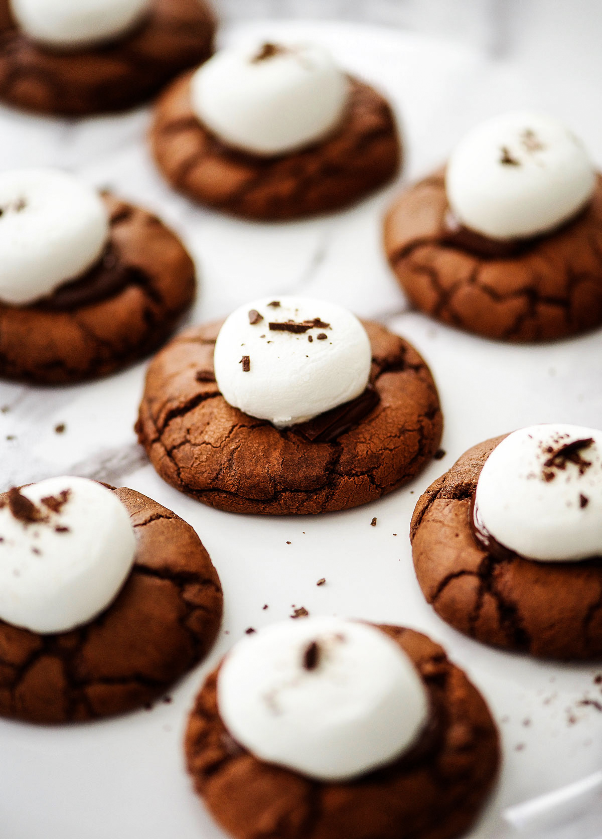 Hot Cocoa Cookies are soft and chewy chocolate cookies with melted marshmallows and a surprise chocolate center. Life-in-the-Lofthouse.com