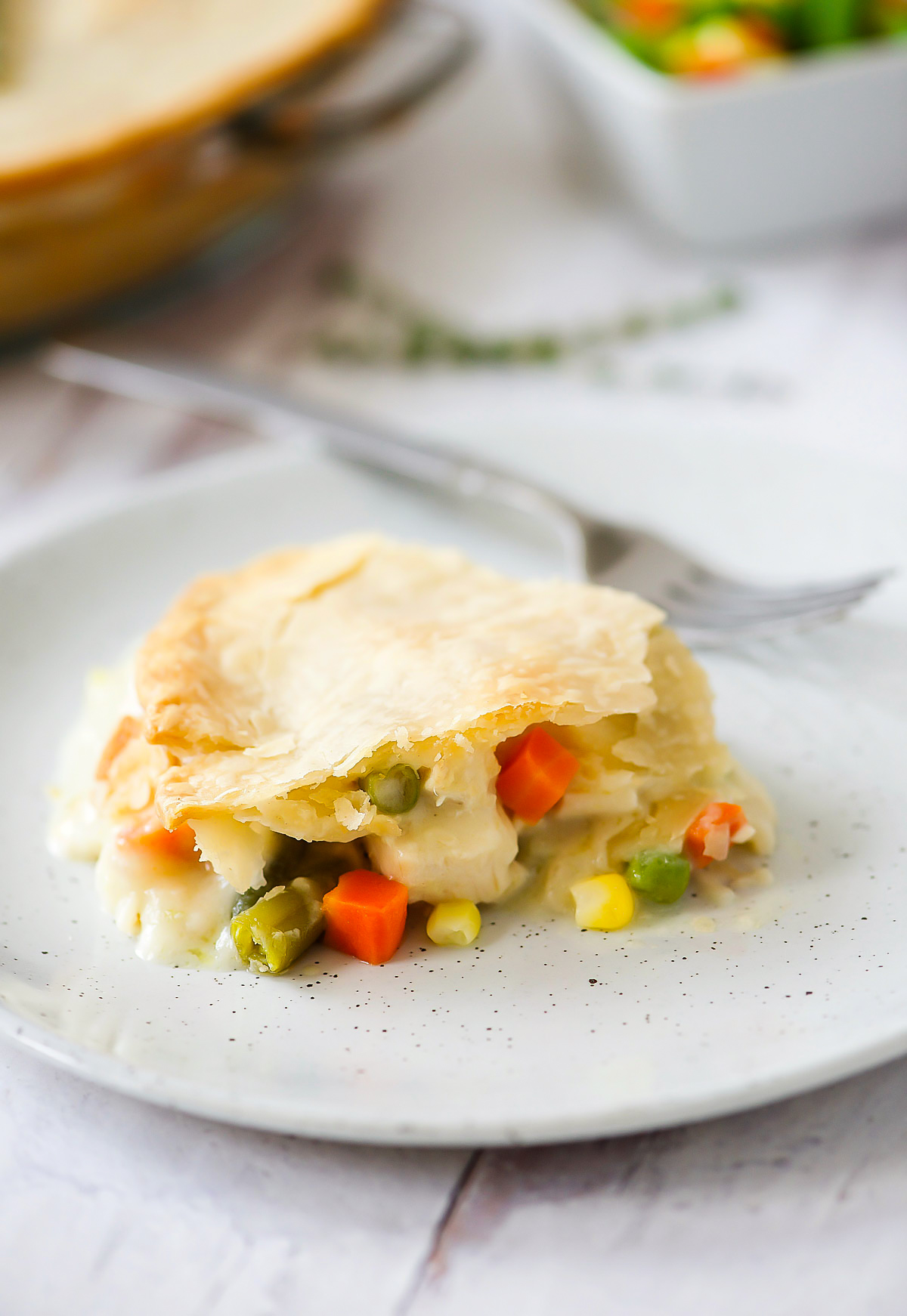 Chicken Pot Pie is a delicious savory pie filled with a chicken and vegetable filling inside a flaky pie crust. Life-in-the-Lofthouse.com