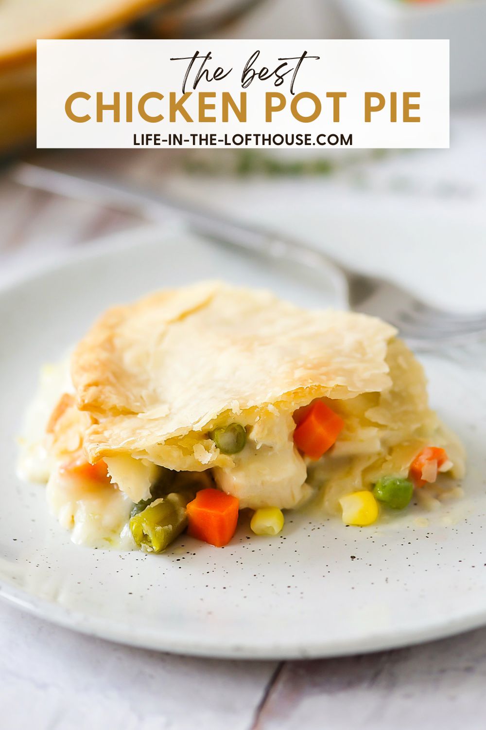 Chicken Pot Pie is a delicious savory pie filled with a chicken and vegetable filling inside a flaky pie crust. Life-in-the-Lofthouse.com
