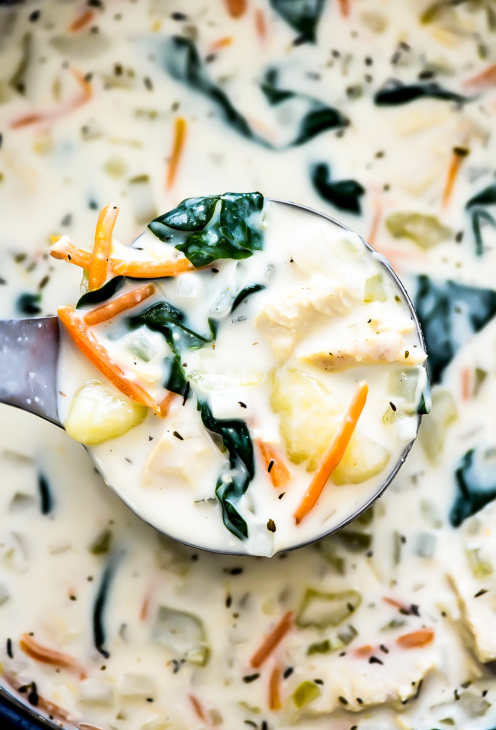 Chicken Gnocchi Soup is filled with tender chicken breast, potato gnocchi, carrots, spinach, celery and onion in a creamy chicken broth. Life-in-the-Lofthouse.com