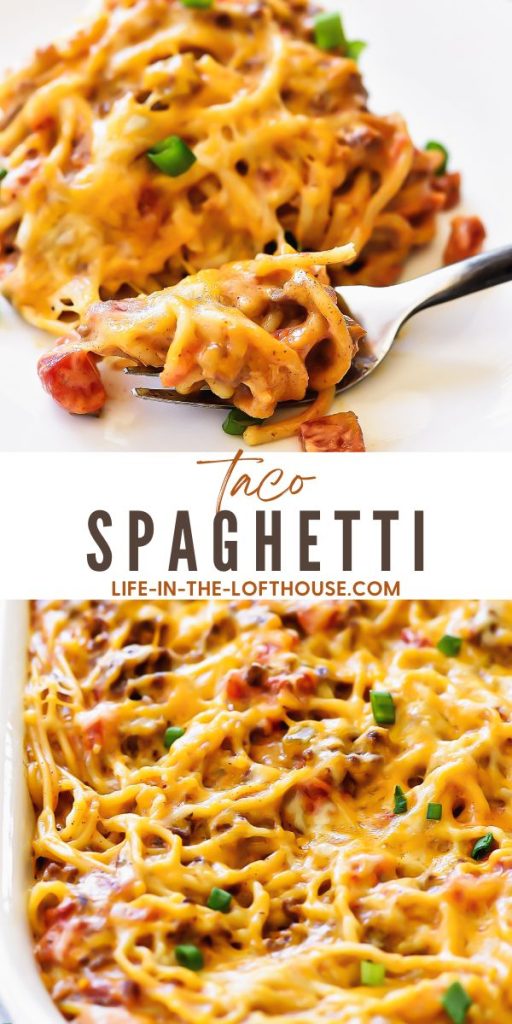 Taco Spaghetti - Life In The Lofthouse