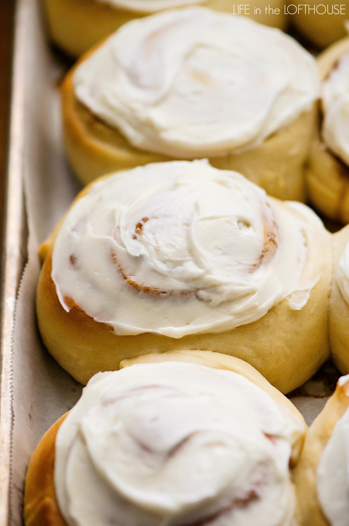 The most perfect cinnamon rolls with cream cheese frosting.