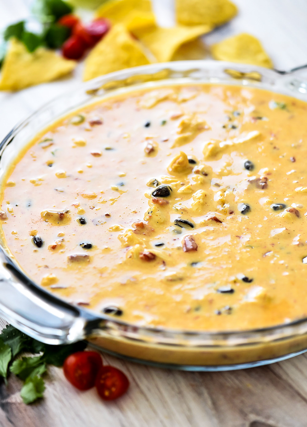 Slow Cooker Chicken Nacho Dip is a creamy, cheesy dip filled with Mexican flavors. Life-in-the-Lofthouse.com