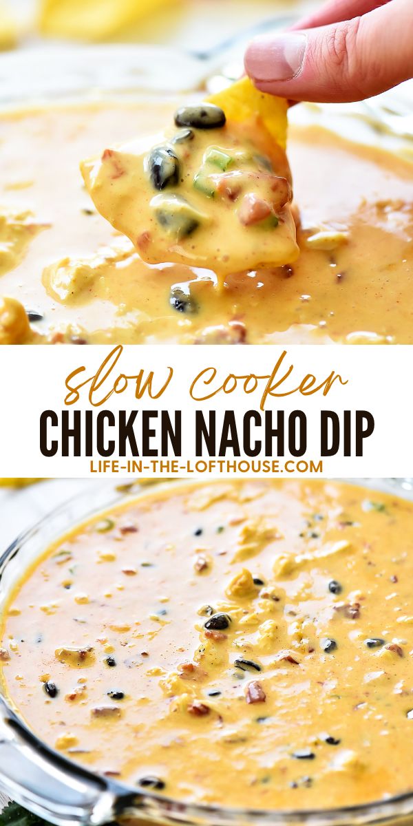 Slow Cooker Chicken Nacho Dip is a creamy, cheesy dip filled with Mexican flavors. Life-in-the-Lofthouse.com