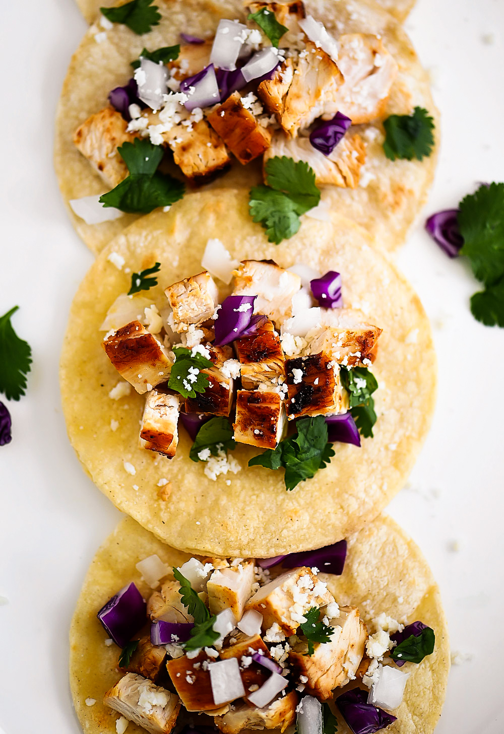 Chicken Street Tacos are filled with grilled chicken, onion, cabbage and fresh cilantro. Life-in-the-Lofthouse.com
