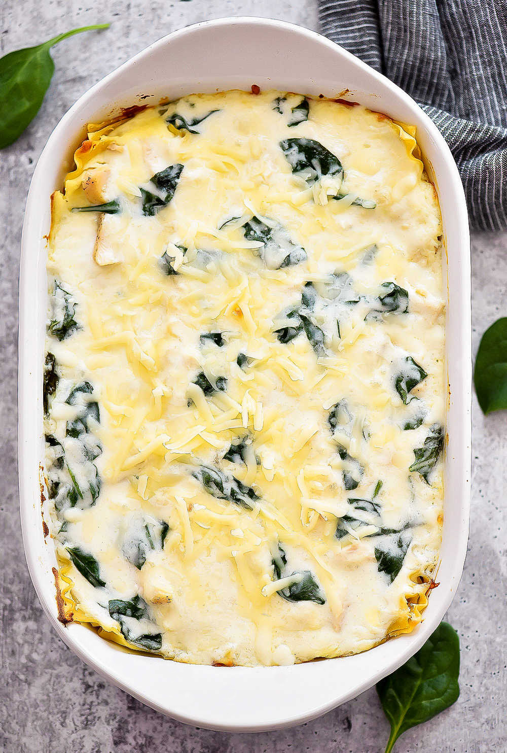 A white cheese lasagna with layers of noodles, white cheese sauce, Mozzarella cheese and spinach leaves. Life-in-the-Lofthouse.com