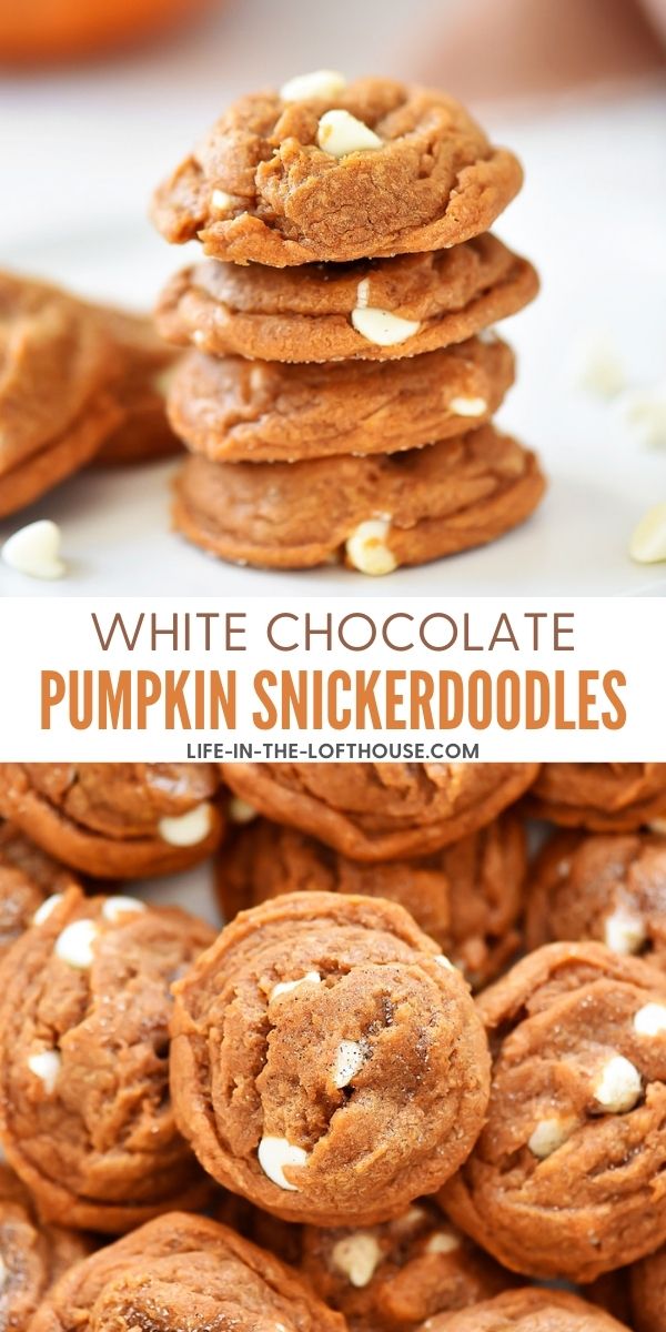 Pumpkin Snickerdoodle cookies with white chocolate chips. Life-in-the-Lofthouse.com