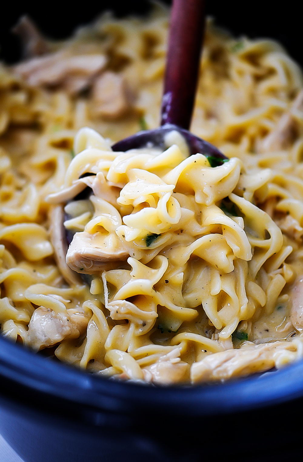 Chicken and egg noodles slow cook in the crock pot with seasonings and broth. Life-in-the-Lofthouse.com