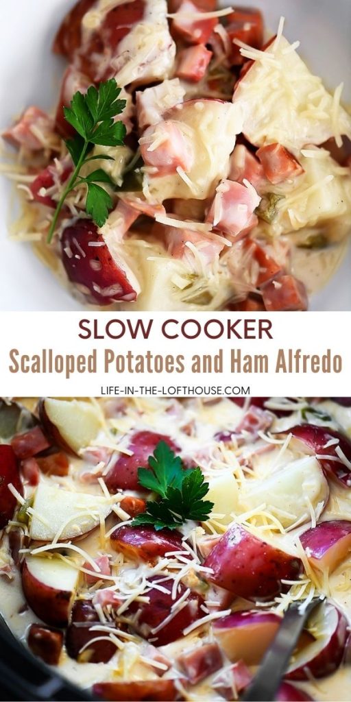 Potatoes, ham and Alfredo sauce slow cook in the crock pot.
