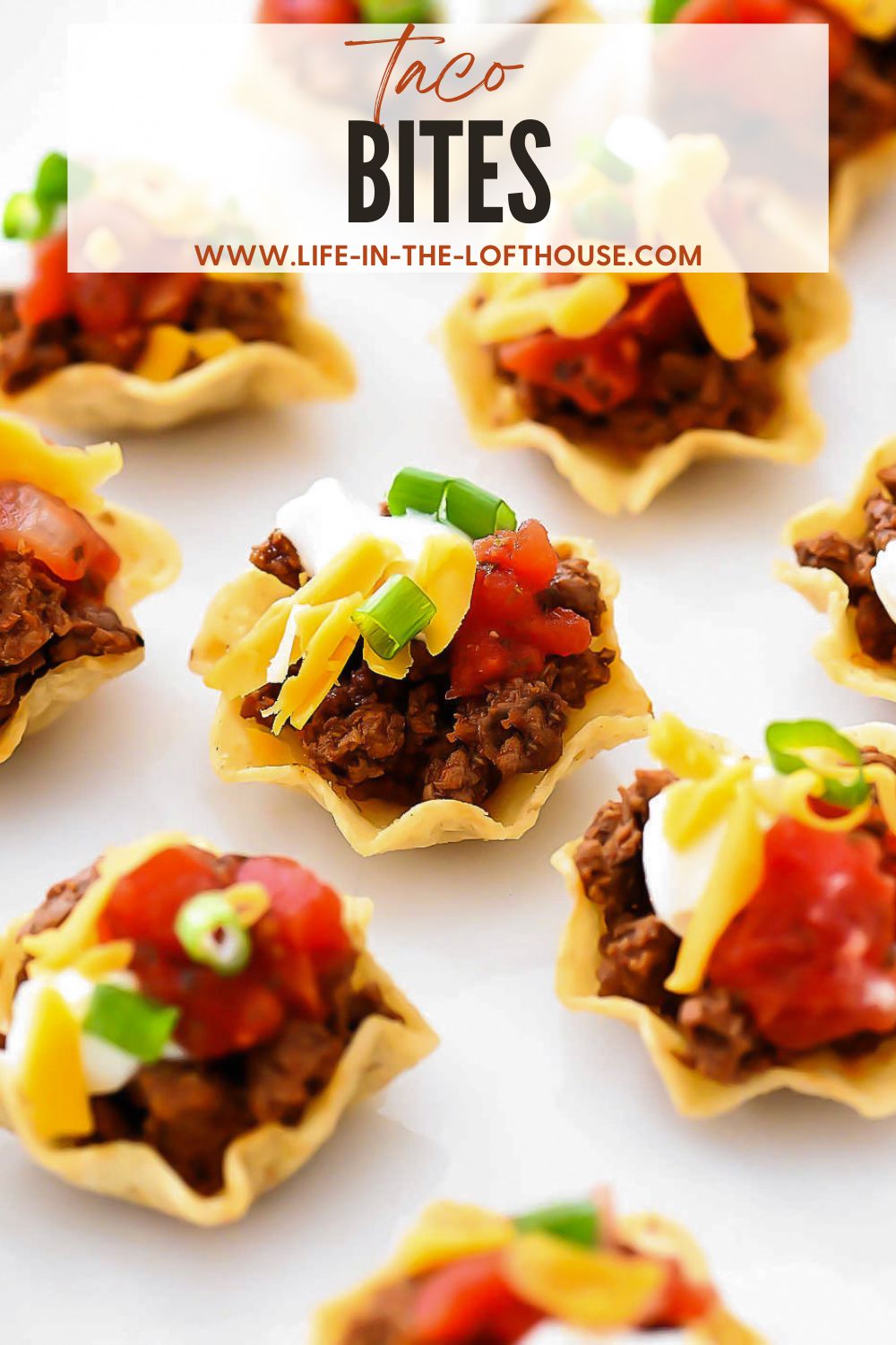 Taco Bites are small tortilla chips topped with taco meat and toppings.