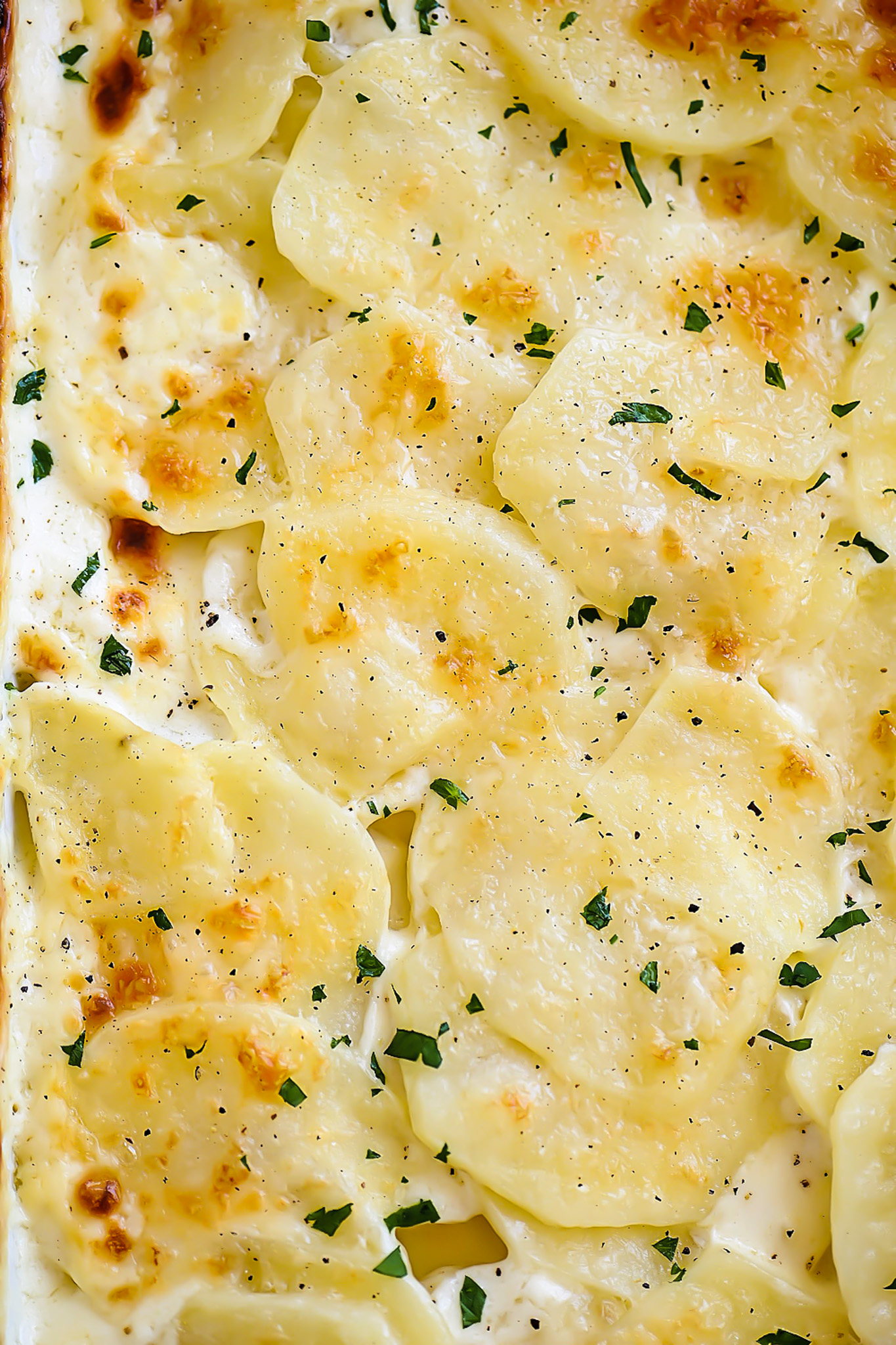Parmesan Scalloped Potatoes with garlic