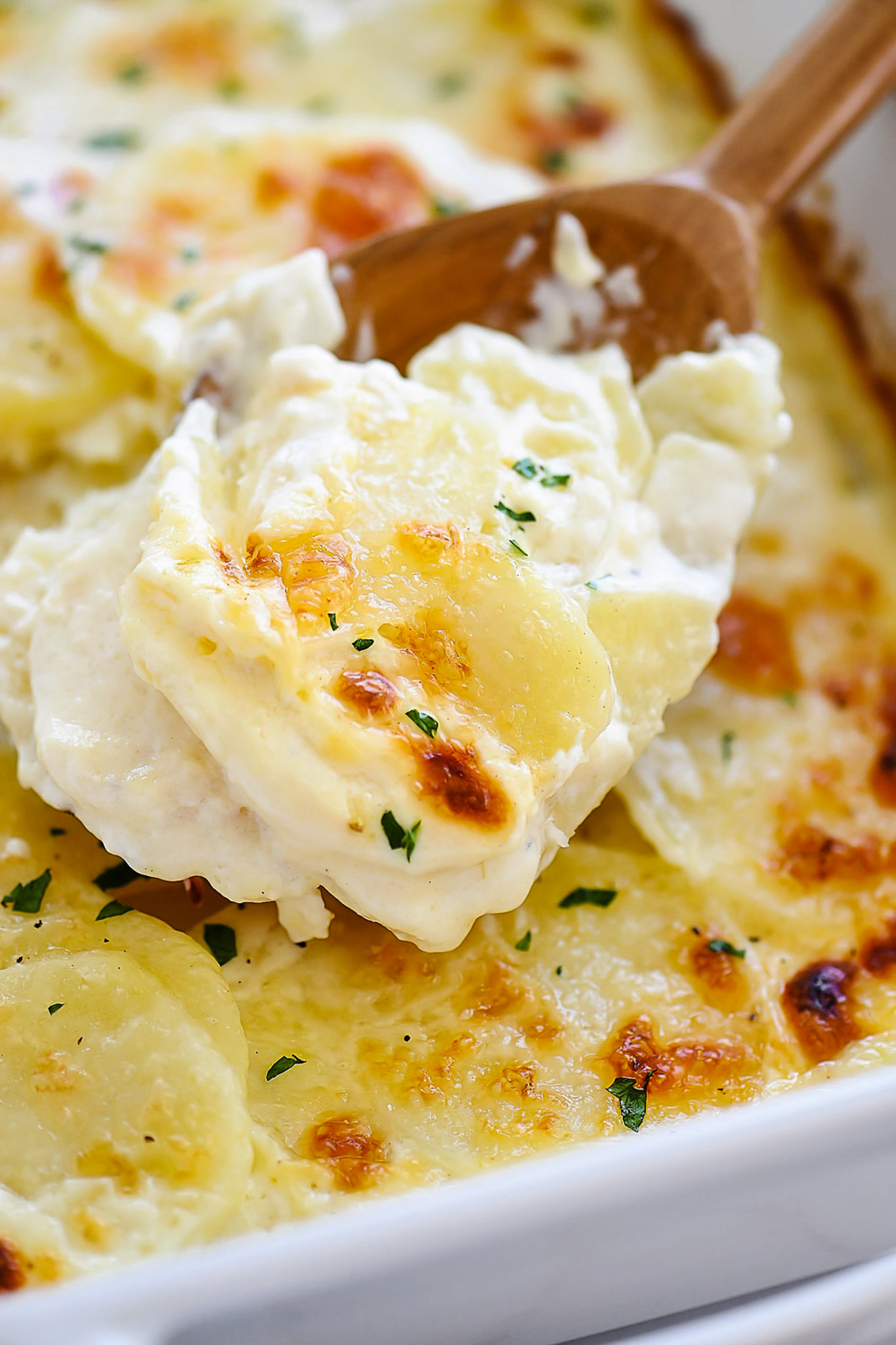 Parmesan Scalloped Potatoes with garlic