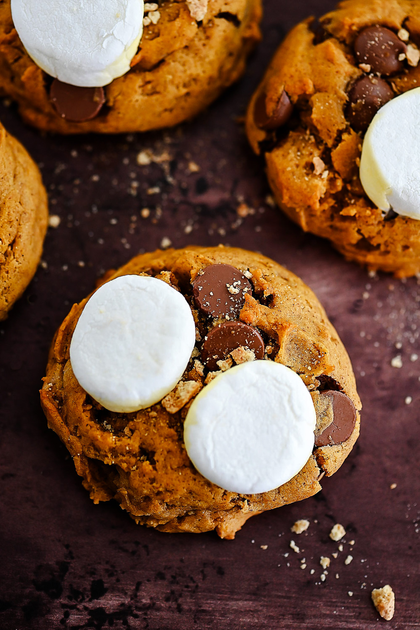 The Best Pumpkin S'mores Cookies