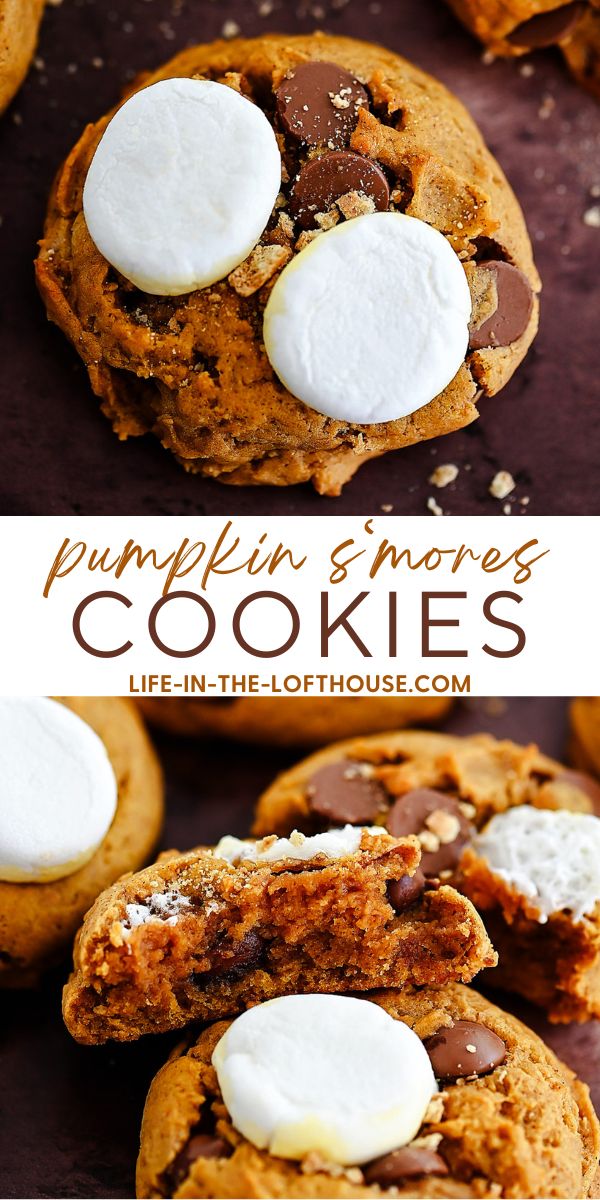 The Best Pumpkin S'mores Cookies